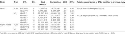 GmARP is Related to the Type III Effector NopAA to Promote Nodulation in Soybean (Glycine max)